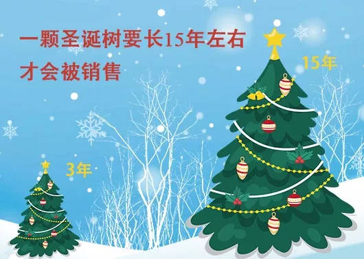 中國最早報道圣誕節的竟是《人民日報》，你不知道的10個圣誕小知識